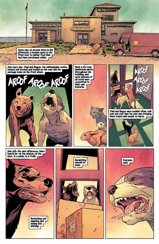 Animal Pound #5 (BOOM! Studios) - New Comics