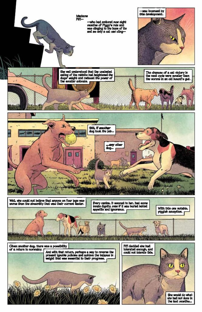 Animal Pound #5 (BOOM! Studios) - New Comics