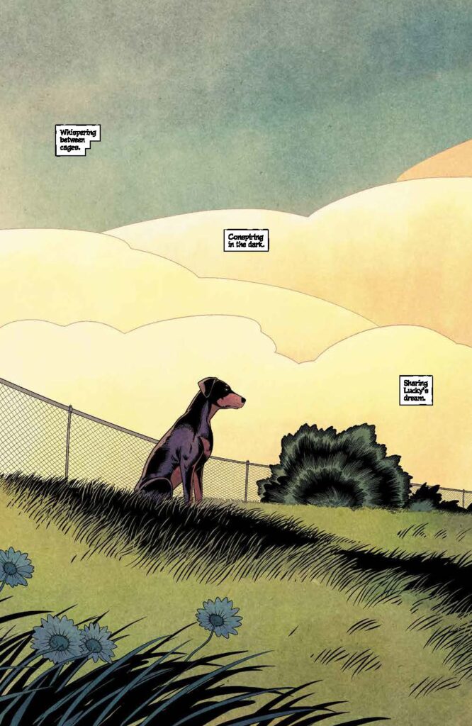 Animal Pound #5 (BOOM! Studios) - New Comics