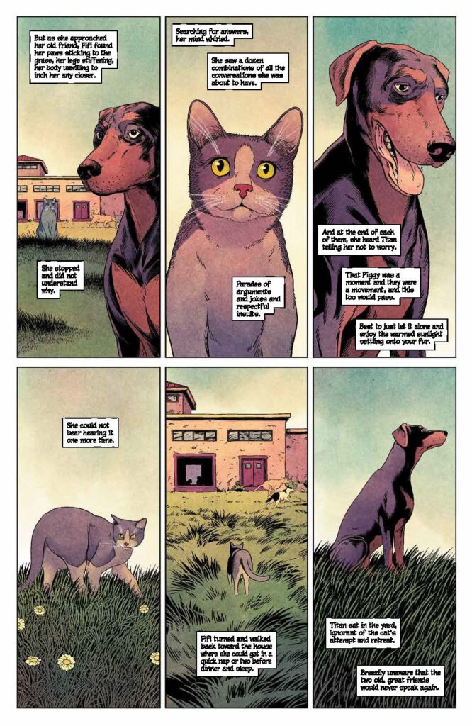 Animal Pound #5 (BOOM! Studios) - New Comics